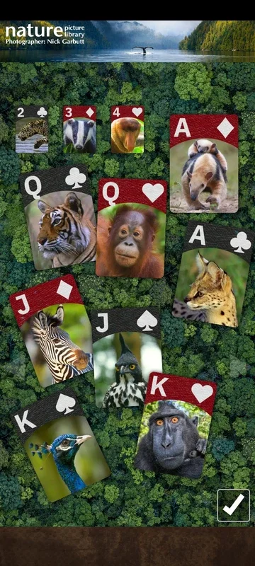 Flick Solitaire for Android: An Engaging Solitaire Experience