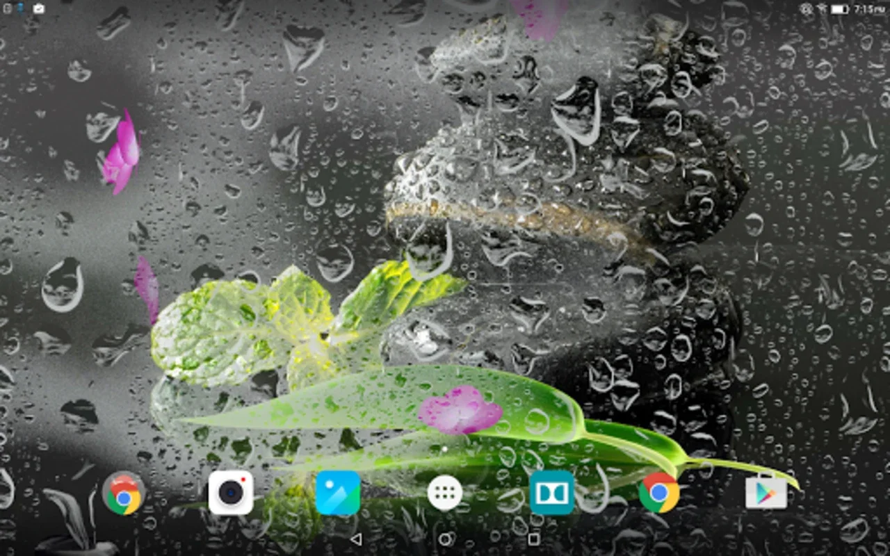 Garden Zen Live Wallpaper for Android - Serene Escape