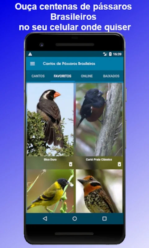 Brazilian's birds sounds for Android - Immerse in Authentic Avian Tunes