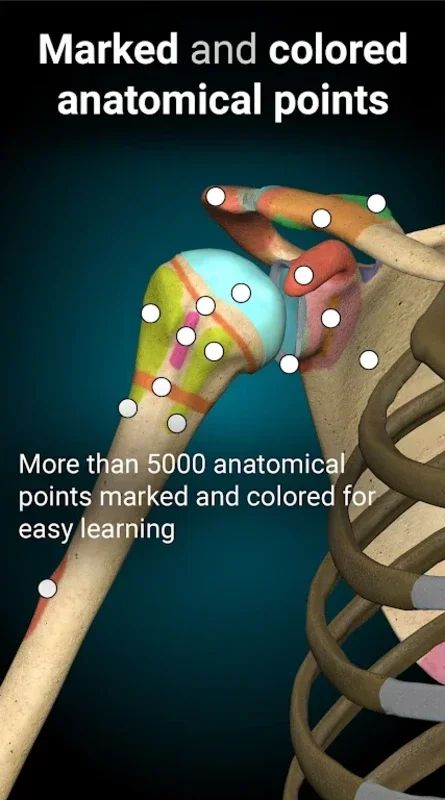 3D Anatomy Learning for Android: Immersive Anatomy Learning