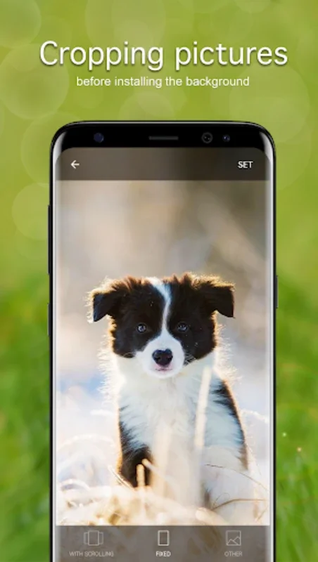 Puppy Wallpapers 4K for Android - Enhance Your Device with Cute Puppies