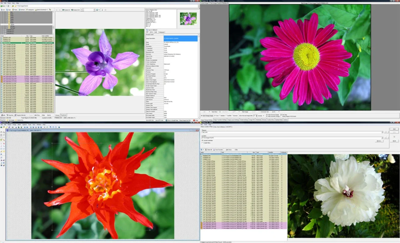 WildBit Viewer for Windows - Free Picture Viewing and Editing Tool