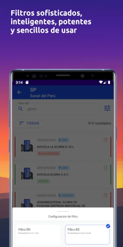 Consulta Perú: Busca DNI, RUC for Android - Accurate ID & Business Verification