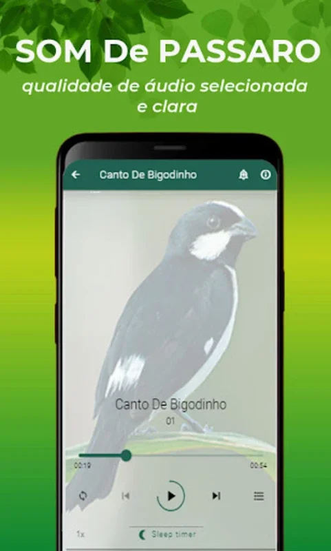 Canto De Bigodinho for Android - Immersive Bird Song Experience