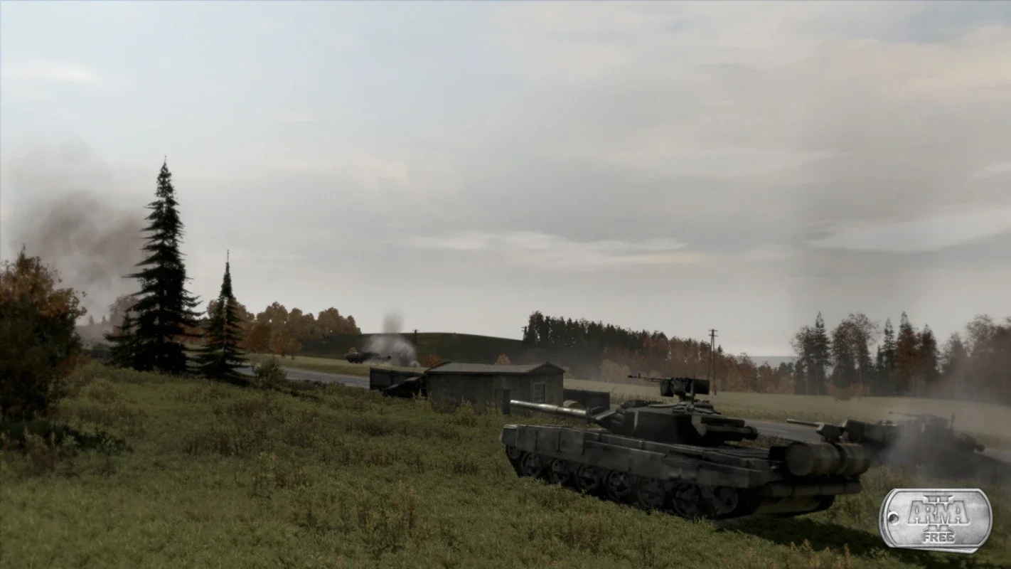 ArmA 2 Free for Windows - A Free War Simulation