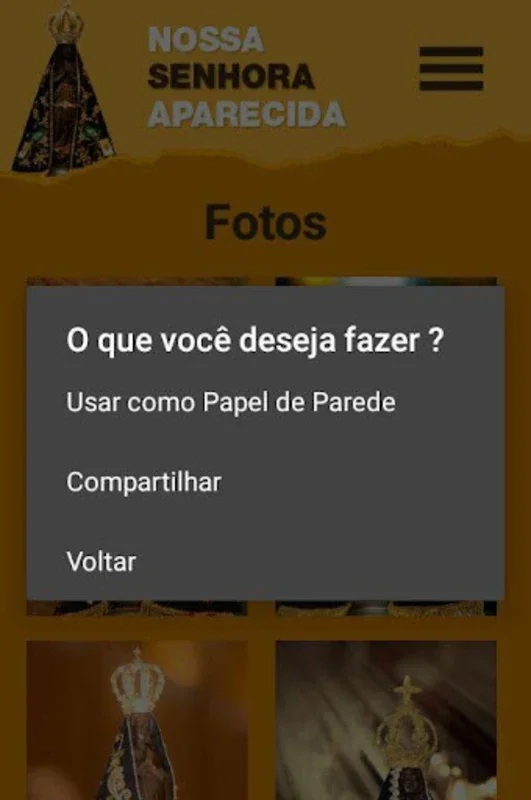 Nossa Senhora Aparecida for Android - Rich Spiritual Content