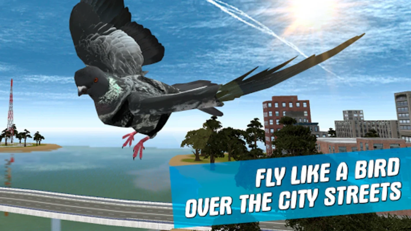 City Bird Pigeon Simulator 3D for Android: Fly in the City