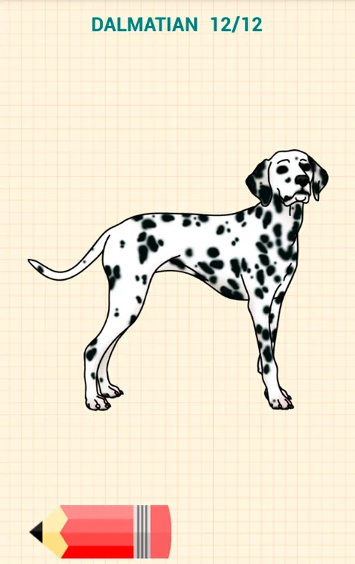 Draw Dogs for Android - Learn Dog Drawing Easily