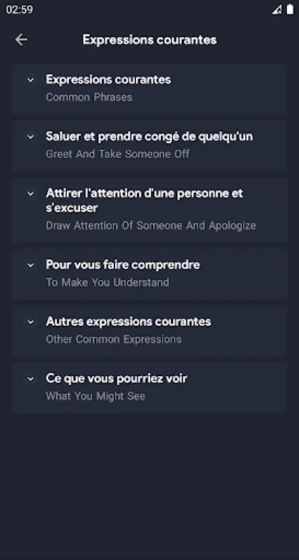 French Conversations - French for Android: Master the Language