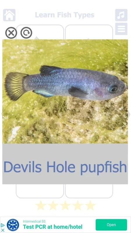 Fish Types for Android: Explore Diverse Fish Species