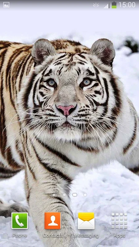 White Tiger Live Wallpaper for Android - Enhance Your Screen