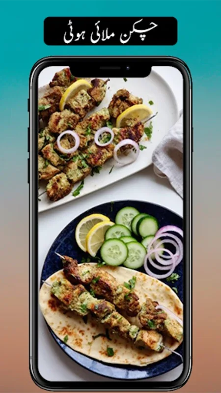 Pakistani Urdu Recipes for Android - Rich Culinary Experience