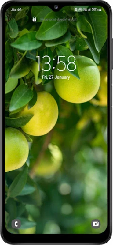 Fruit Wallpapers for Android - Enhance Your Device