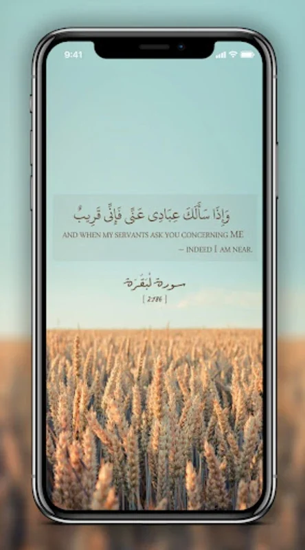 Islamic Quotes for Android: Inspirational Wallpapers