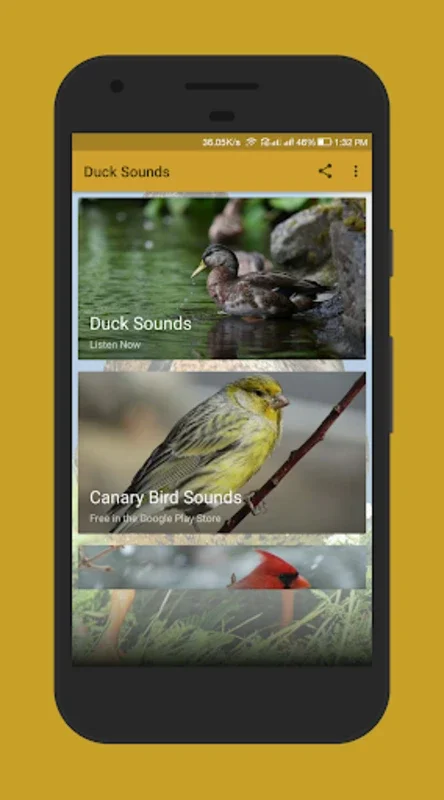 Duck Sounds for Android: Relax with Nature's Melodies