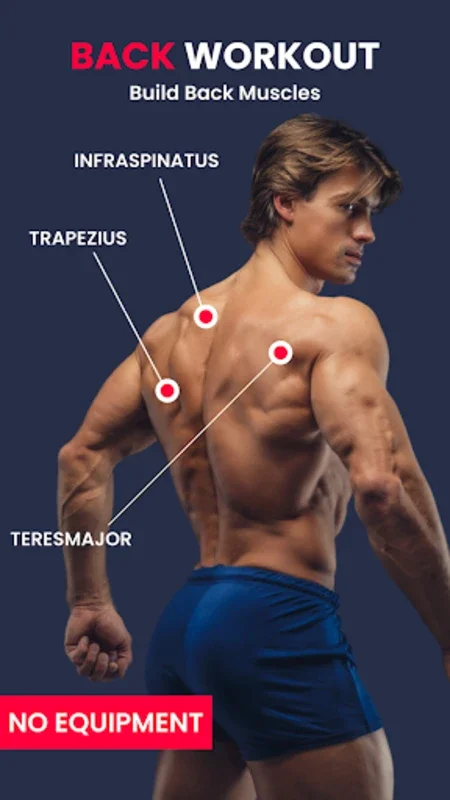 Back Workout for Android - Strengthen Your Back at Home