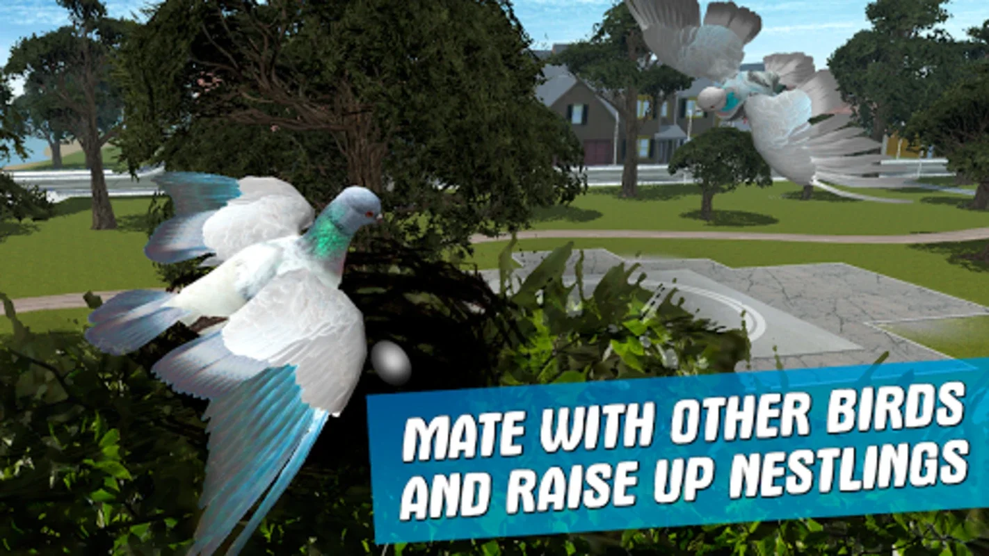 City Bird Pigeon Simulator 3D for Android: Fly in the City