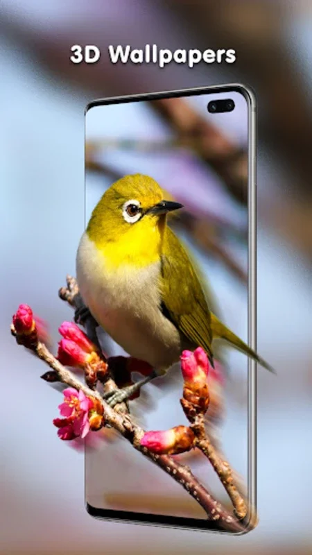 Transparent Live Wallpaper for Android - Transform Your Screen