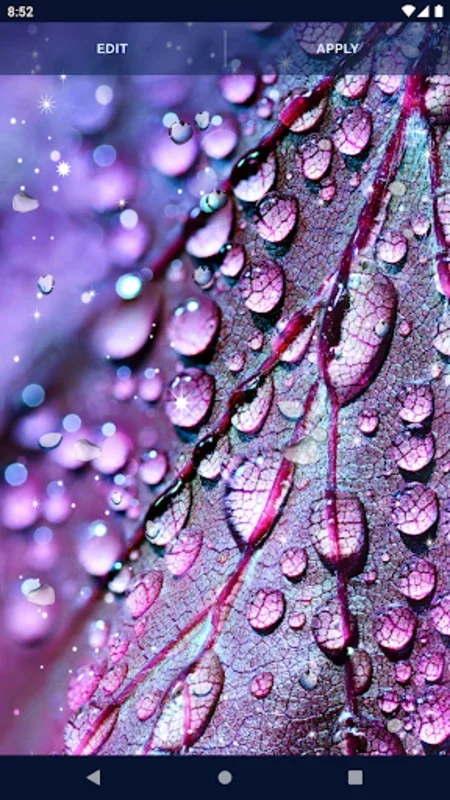 Water RainDrops Live Wallpaper for Android - Stunning Visuals and Customization