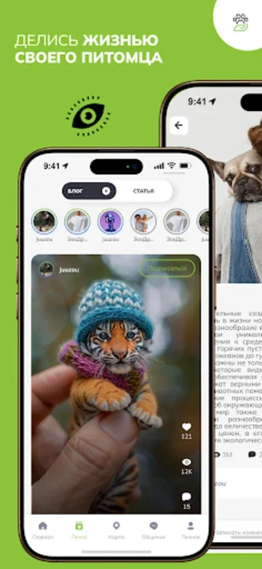 ЗооКлик for Android: The Ultimate Pet App