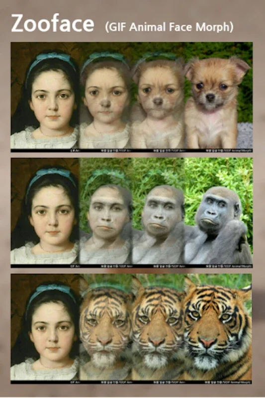 Zooface - GIF Animal Morph for Android - Download the APK Now