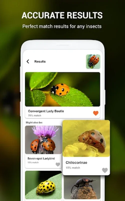 Insect identifier by Photo Cam for Android - Download the APK from AppHuts