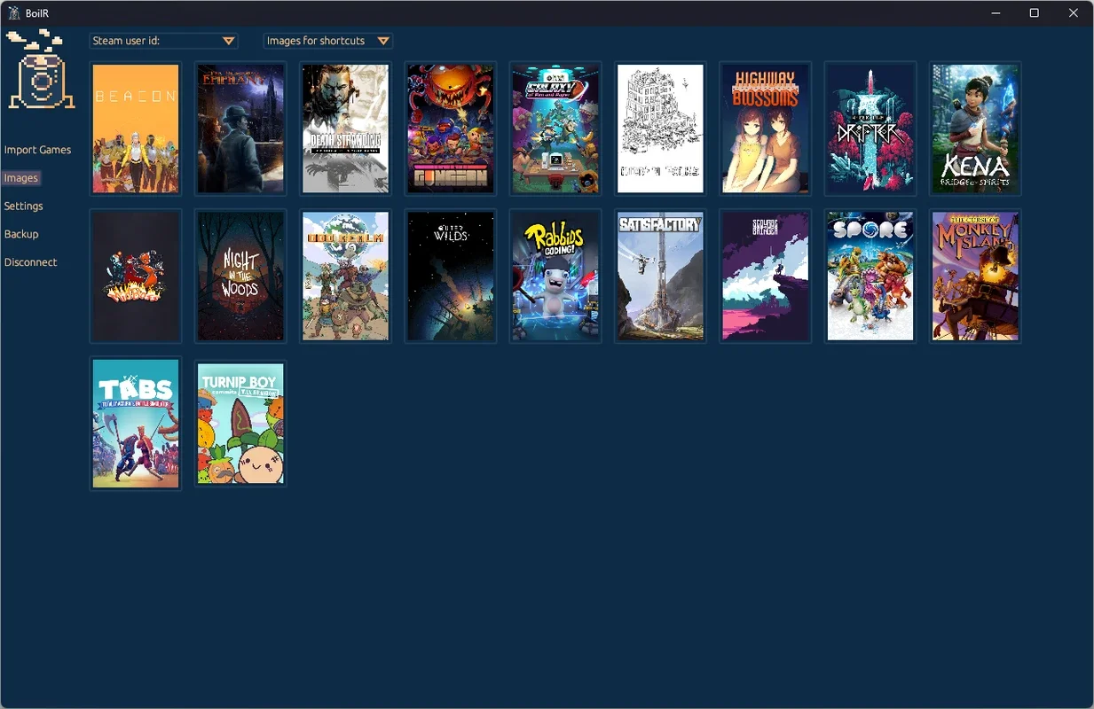 BoilR for Windows: Organize Your Steam Library