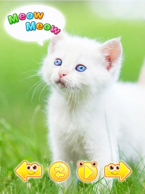 Cute animal pictures & animal for Android - Delightful Images