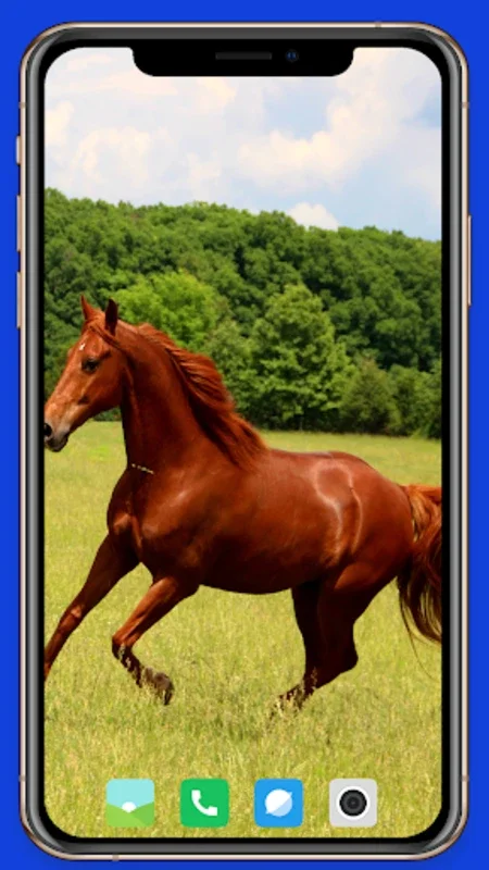 Horse Wallpaper for Android - Enhance Your Device