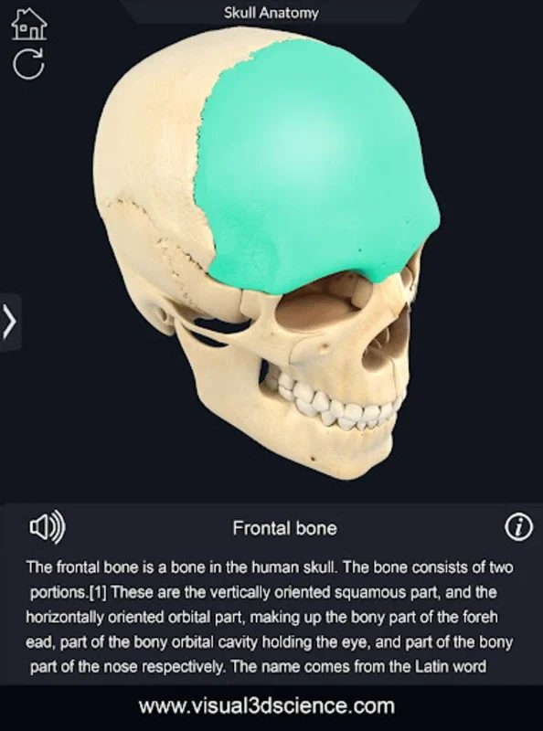 Skull Anatomy Pro. for Android: Immersive 3D Learning