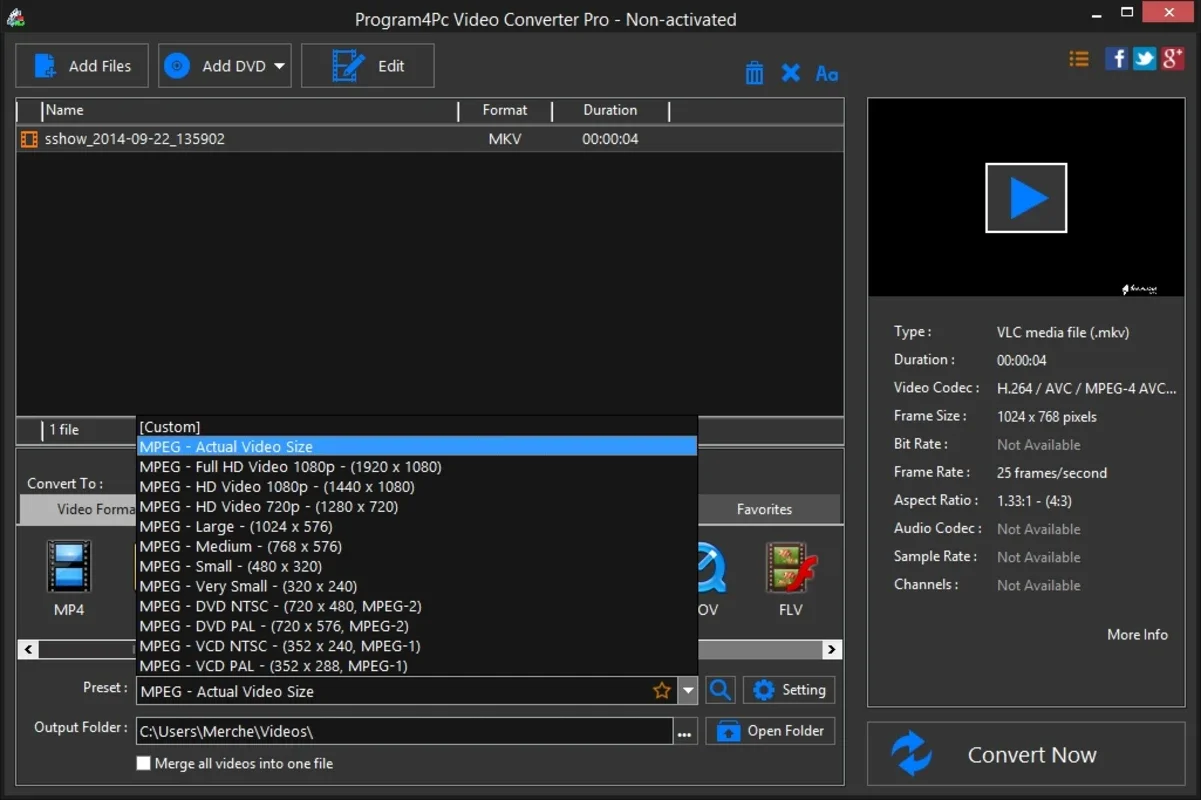 Video Converter Pro for Windows - Format Conversion and More