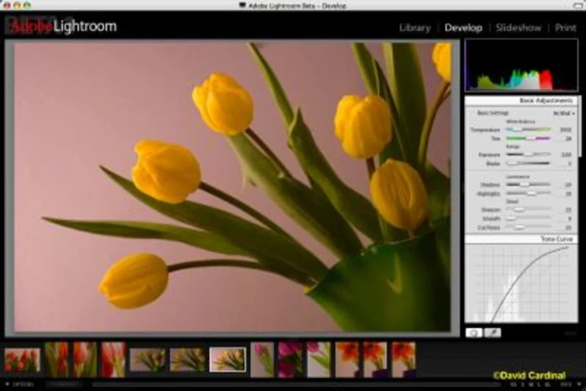 Adobe Photoshop Lightroom for Windows - Download it for Free