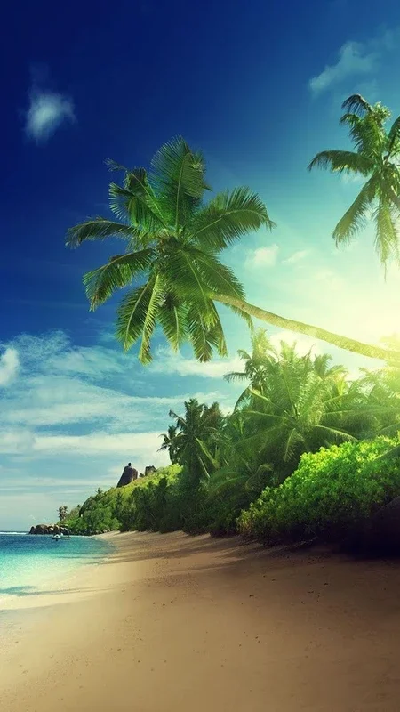 Beach Sunset Live Wallpaper for Android - Immerse in Serene Coastal Beauty