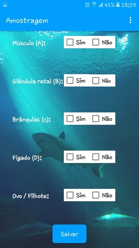 SharkData for Android: Unlock Valuable Insights