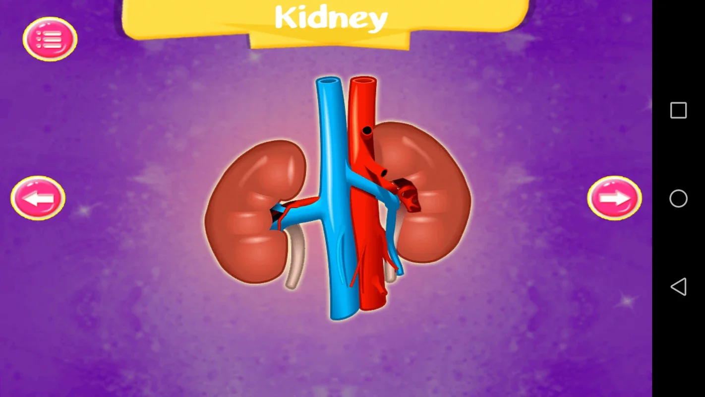 The Learning App - Kids Body Parts Learning for Android: Fun Body Learning