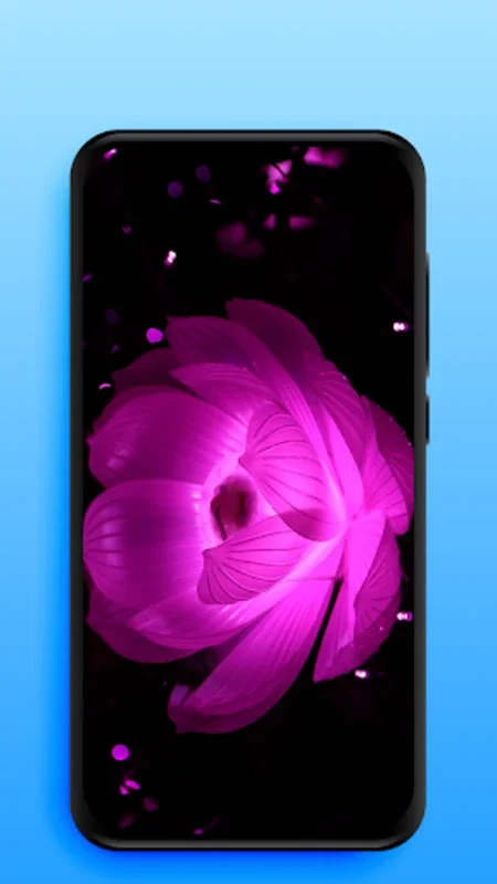 Video Live Wallpapers for Android - Enhance Your Phone with HD Animations