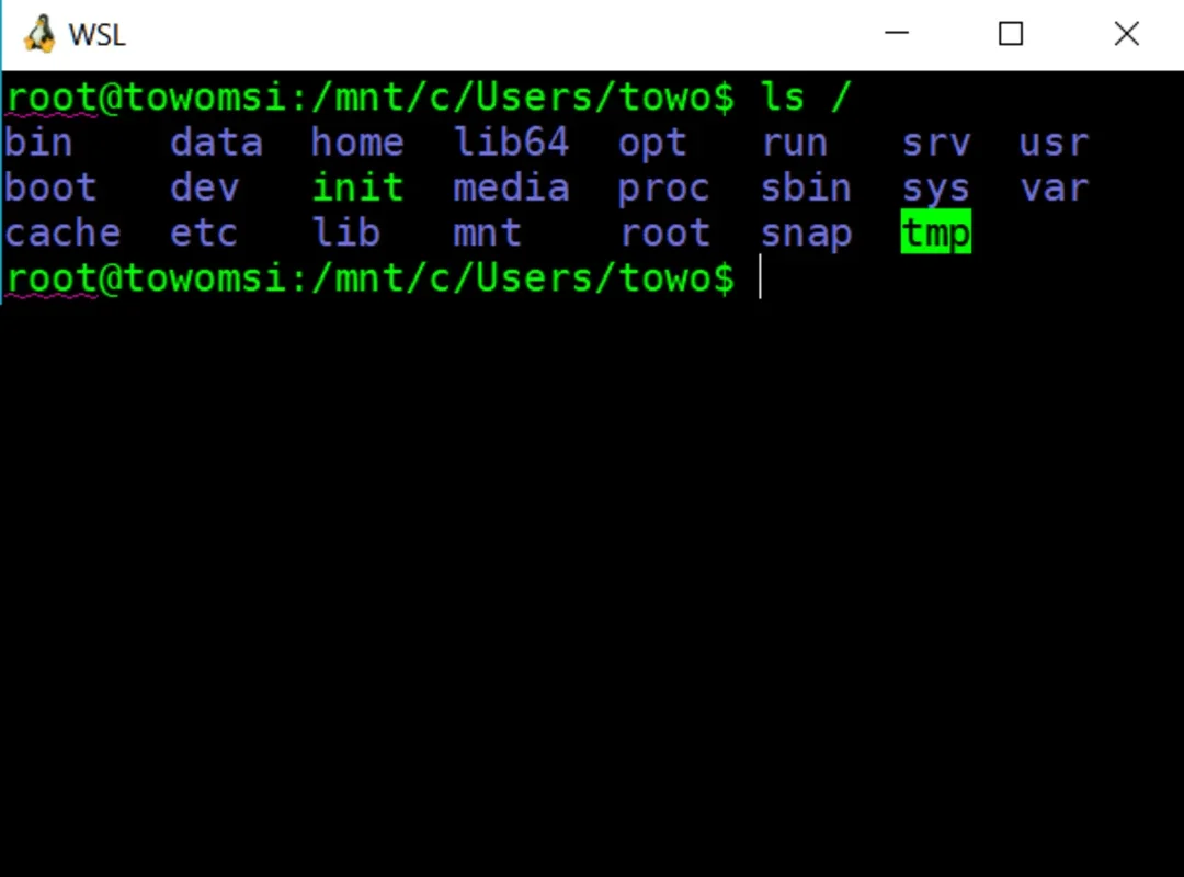 wsltty for Windows: Efficient Terminal Emulation