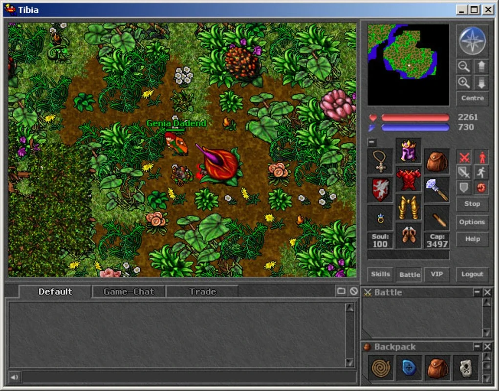 Tibia for Windows - Free Download on AppHuts