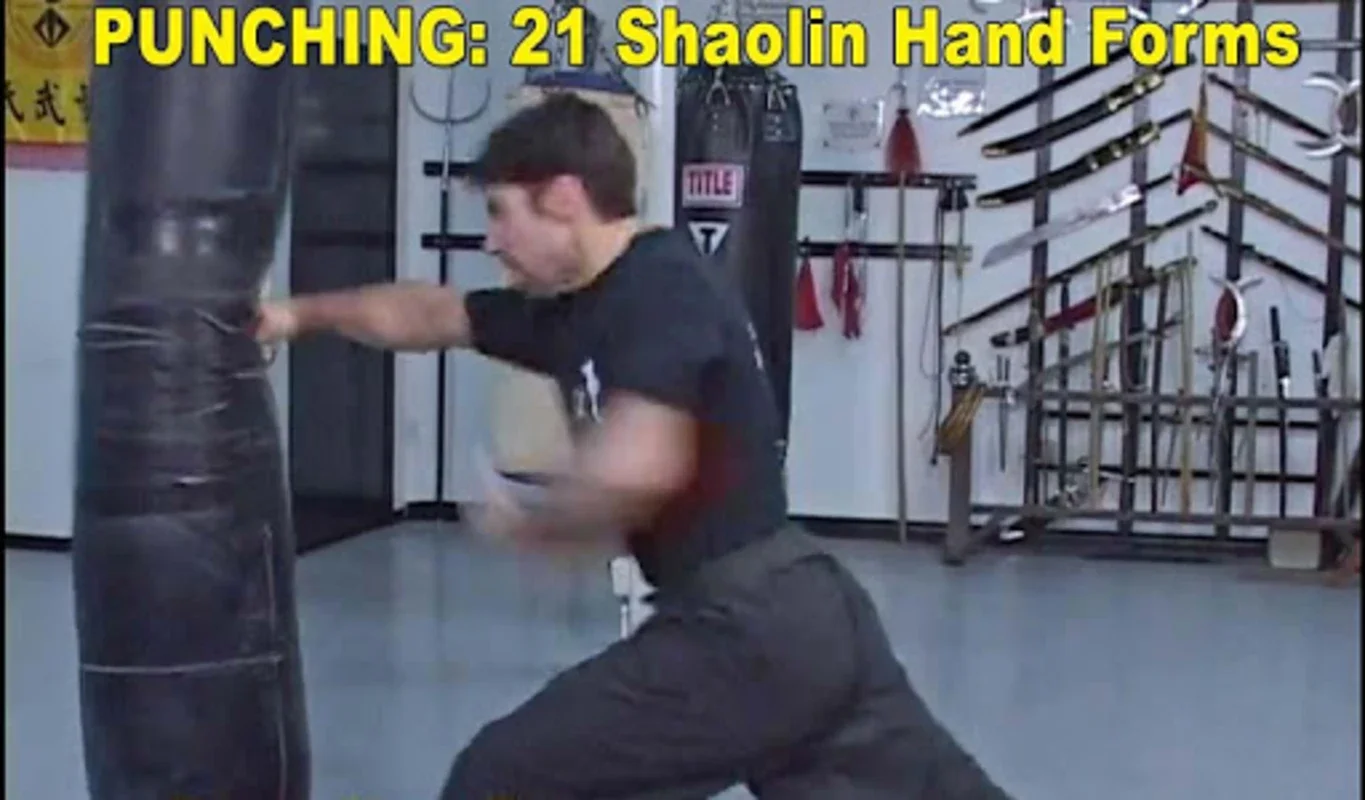 Shaolin Kung Fu for Android: Comprehensive Training