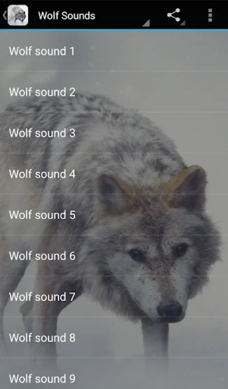 Wolf Sounds for Android: Immerse in Wolf Vocalizations