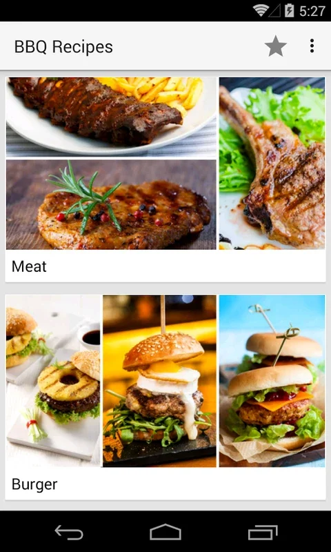 BBQ Recipes for Android: Diverse Grilling Options