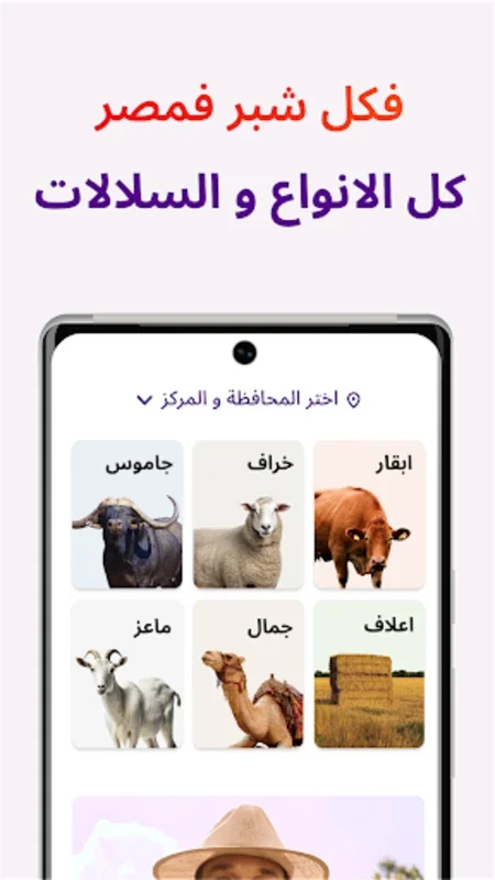 Ra3i - راعي for Android - Download the Free APK from AppHuts