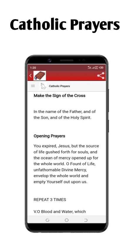 Catholic Missal 2023 Offline for Android - Spiritual Resources at Your Fingertips