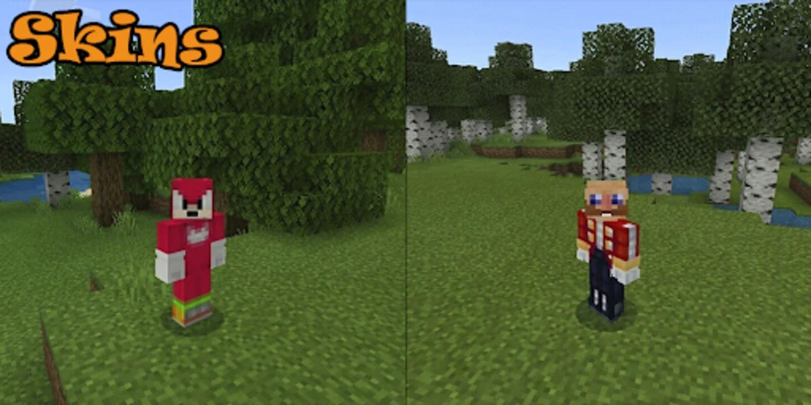 Sonic Skins for Android - Transform Minecraft PE