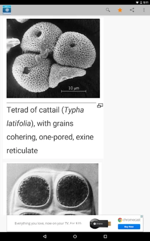 Science Dictionary by Farlex for Android - Explore Scientific Terms