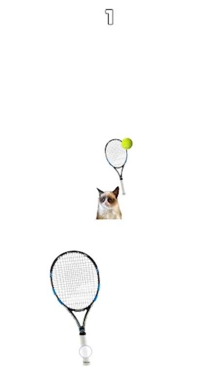 Cat Tennis: Battle Meme for Android - Engaging Sports Game