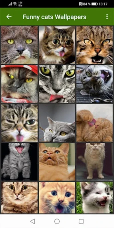 Funny Cats Wallpapers for Android - Instant Mood Booster