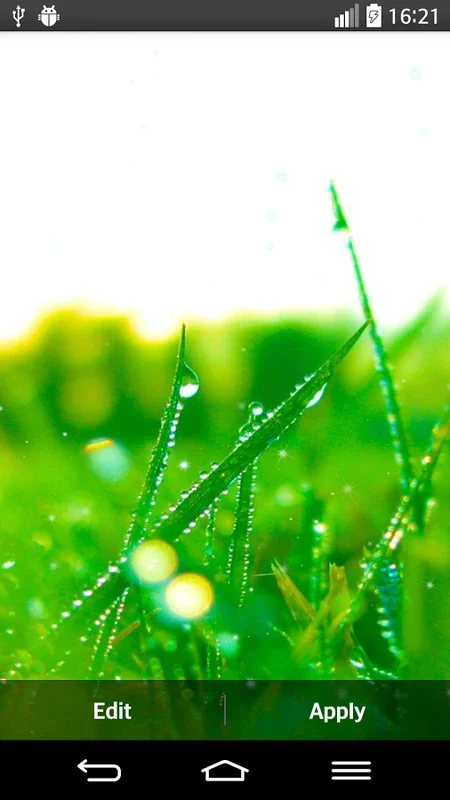 Green Nature Live Wallpaper for Android - Transform Your Screen