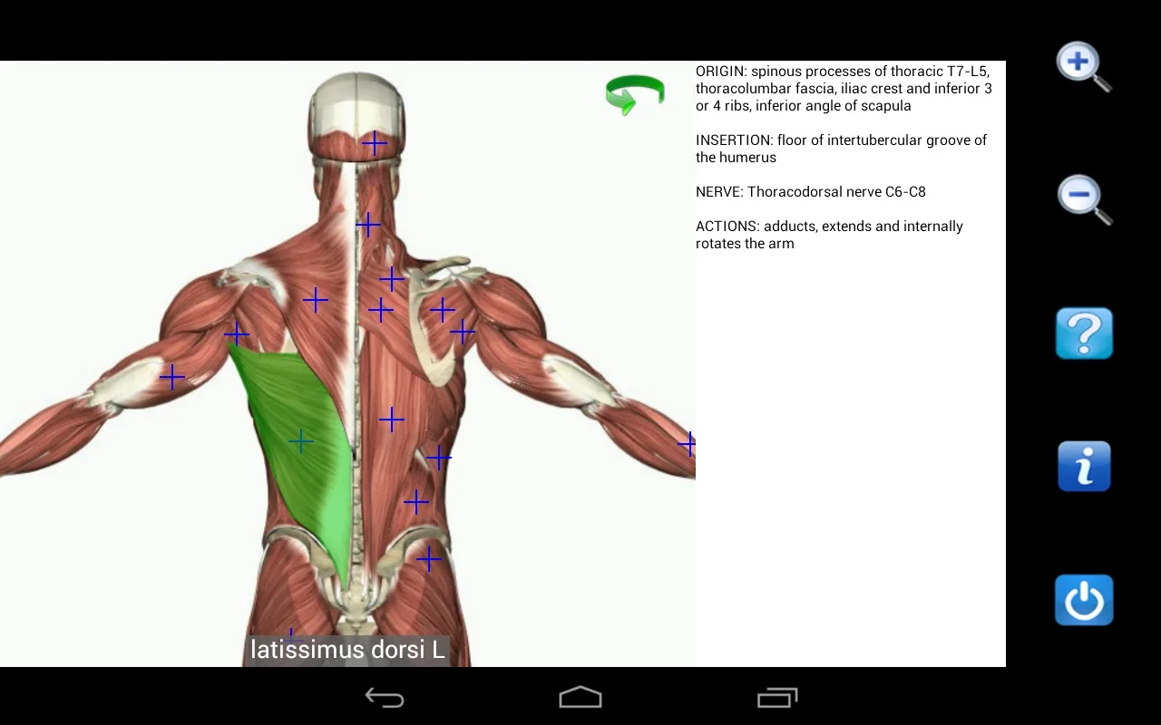 Visual Anatomy Free for Android - Enrich Your Learning