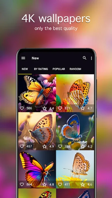 Butterfly Wallpapers 4K for Android - Enhance Your Device